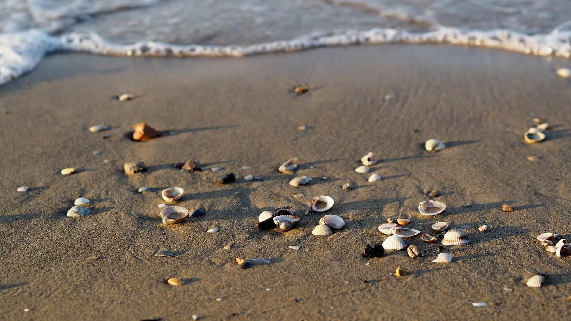 Serene Holiday Escape - Beahost Bibione Italy